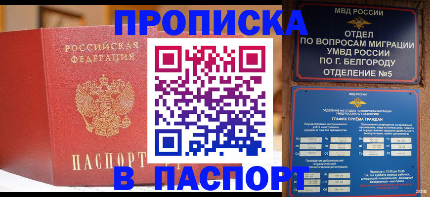 временная регистрация в квартире в Бикине
